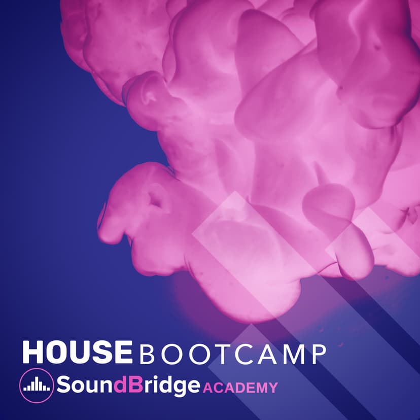 An image of the House Boot Camp album art.