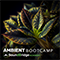 This is an image of the Ambient Boot Camp logo.