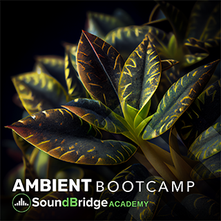 You're looking at the cover of SoundBridge, LLC's Ambient Boot Camp course.